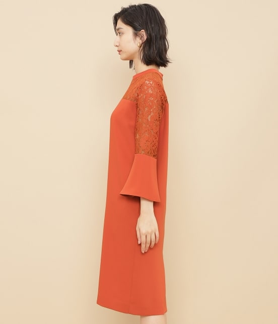 お風呂を持っている 取得する カエル アダムエロペ レース 切替 ワンピース Meresrvpark Net